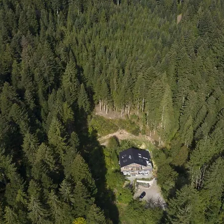 Willa Schweizerhaus Alpirsbach Zewnętrze zdjęcie